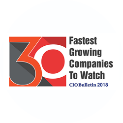 30 fastest growing company