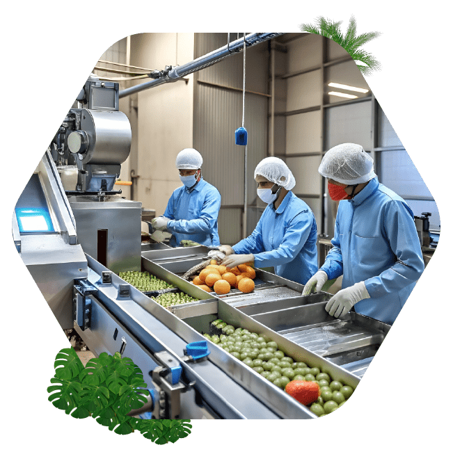 Calidad y seguridad en la industria de alimentos y bebidas