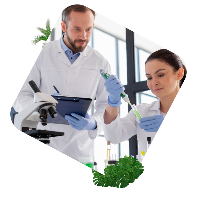 Empresa con eficiencia en costos