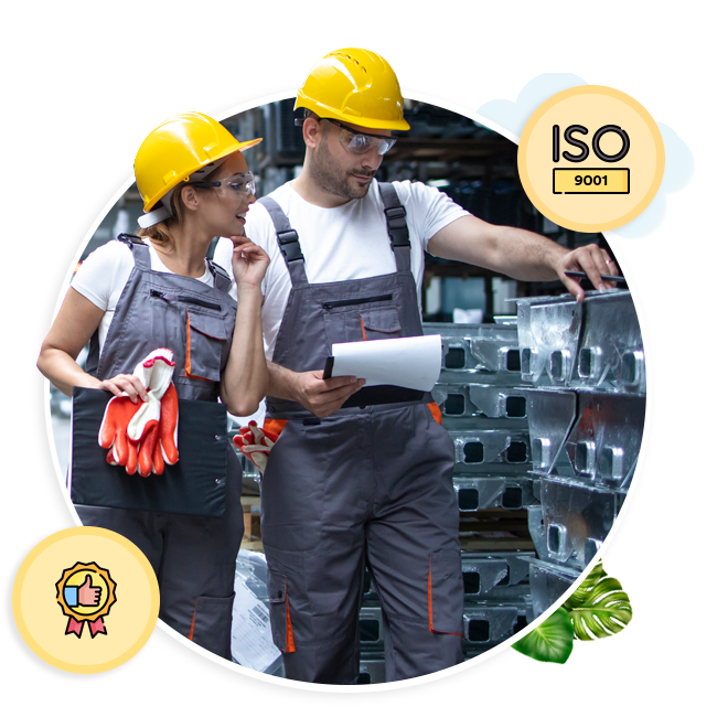 Importancia del Software QMS ISO 9001