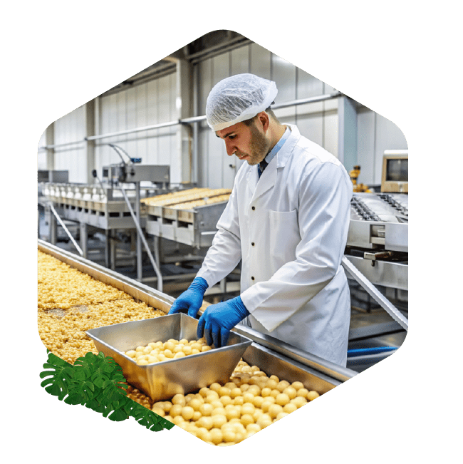 Vorschriften Essen und Getränkeindustrie